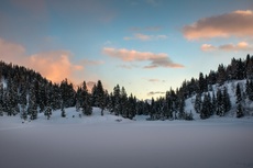 Alpe Pian Doss